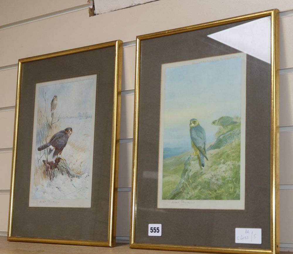 Archibald Thorburn, two colour prints, Birds of Prey, signed in pencil, 28 x 19cm